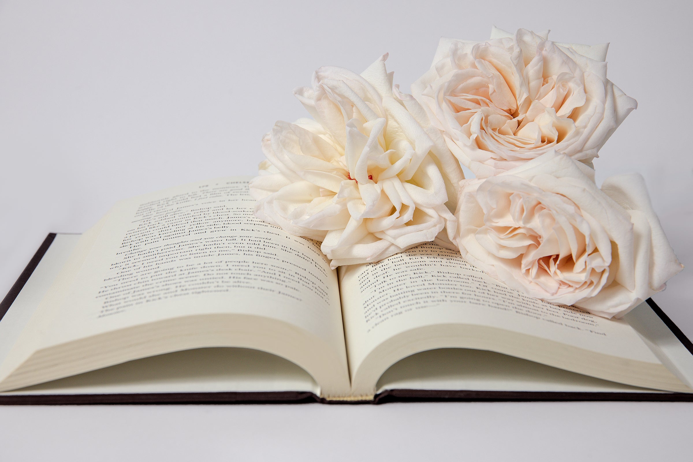 Open romance book with three pale pink roses on top—soft, steamy aesthetic perfect for SteamyBookworms branding.
