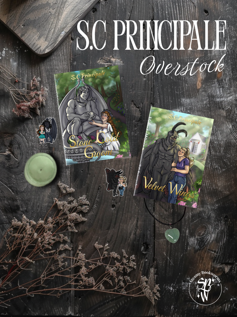 S.C Principale Overstock