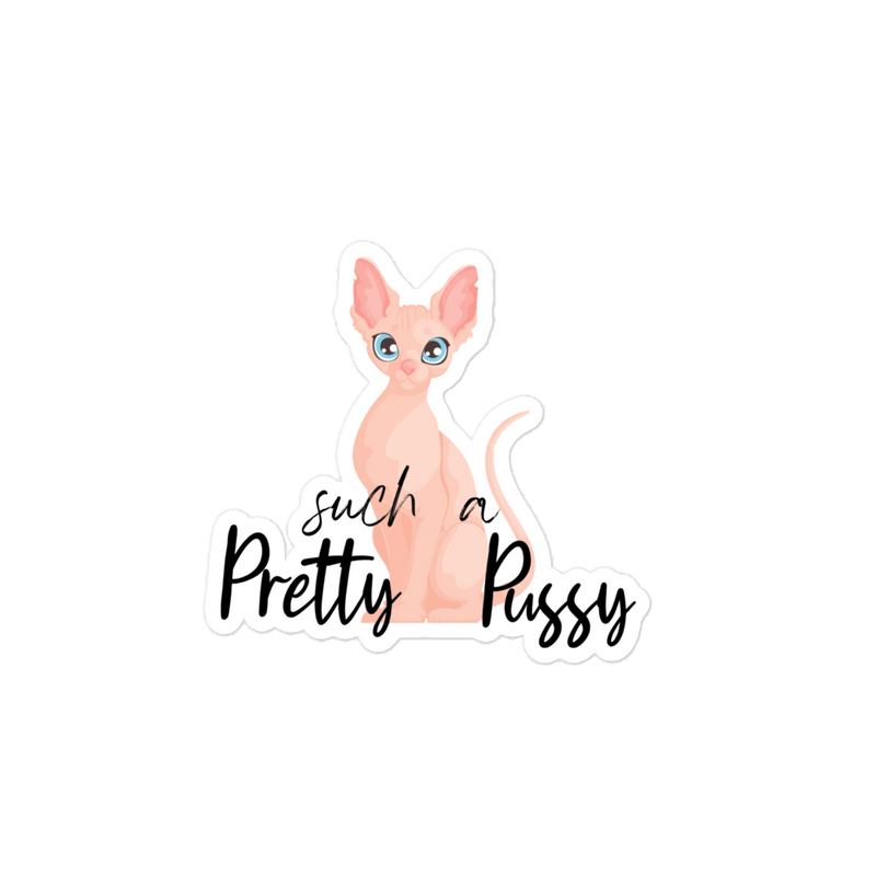 Sticker with a cat illustration and text 'such a Pretty Pussy' on a green background